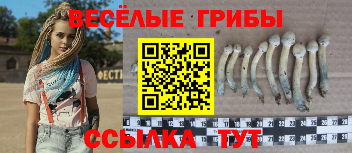Псилоцибиновые грибы мухоморы  где купить наркотик  Нурлат  Вход с VPN 